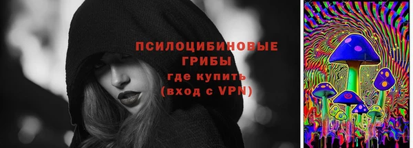 шишки Богородск