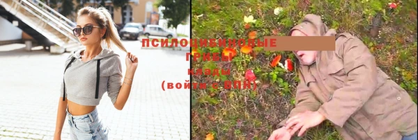 jwh Белокуриха