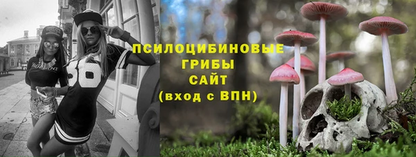 jwh Белокуриха